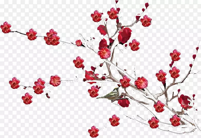 ÷��-������