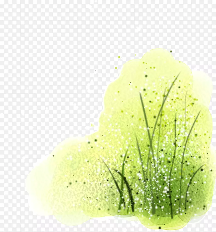 ·�߲ݴ�-������