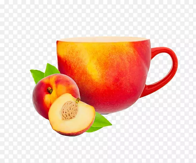 ʵ��ˮ���ҹ�֭����-������