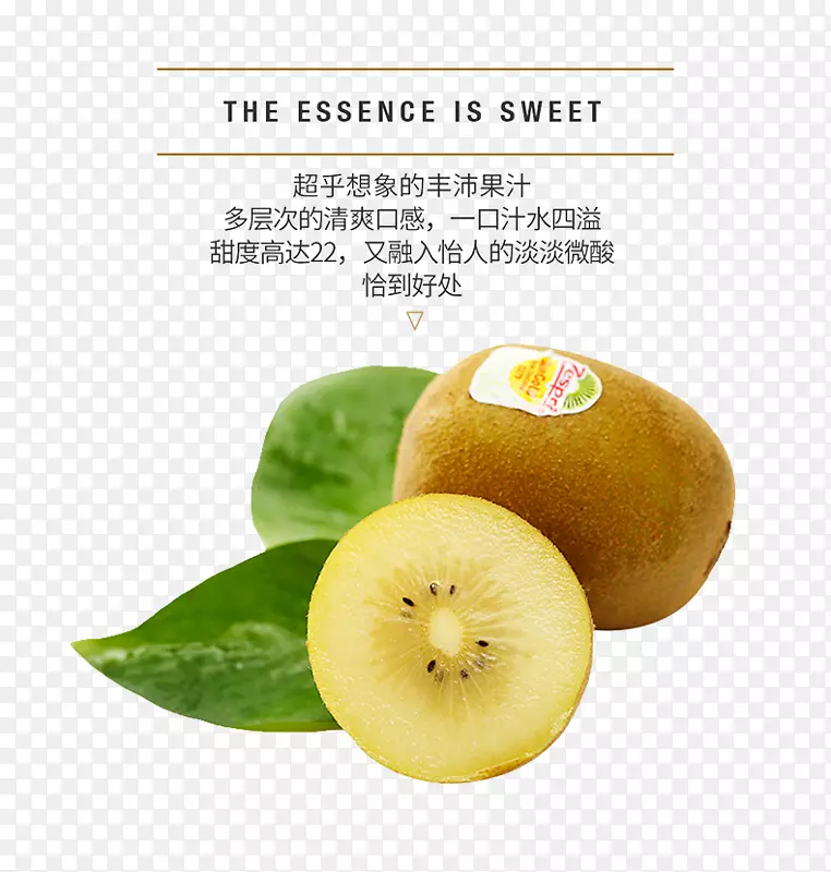 ⨺�����ζ⨺���ʳƷ.⨺�������-������