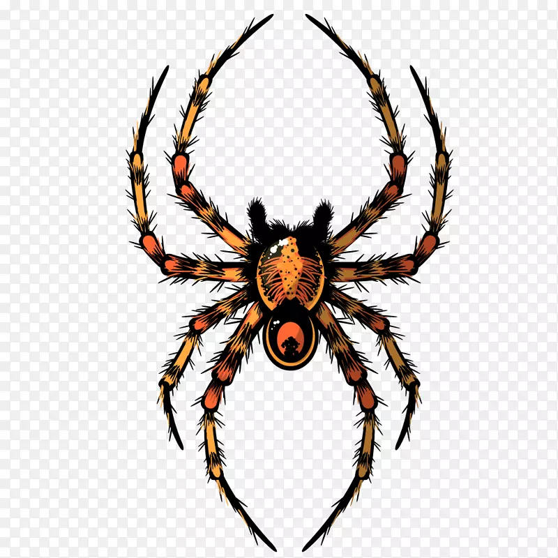 ��ɫ��Լ֩������ͼ-������