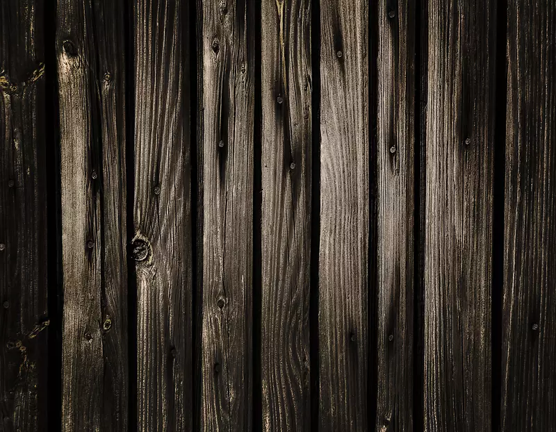 ����ľ����Ʊ���-������