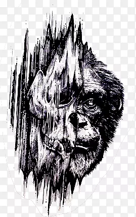 ��������ɲ廭-������