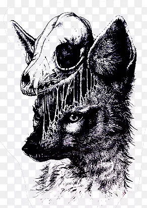 ���ǲ廭-������