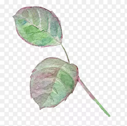 ˮī�ͻ�ˮ����֦��Ҷ-������