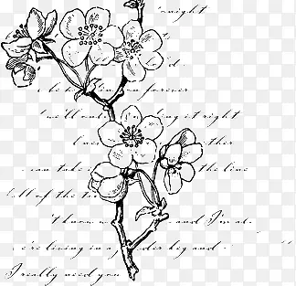 �ֻ滨-������