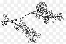 �ֻ滨-������