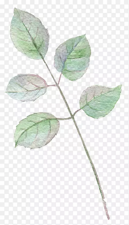 ˮī�ͻ���֦��Ҷ-������