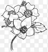 �ֻ滨-������