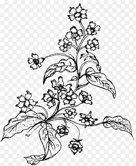 �ֻ滨-������