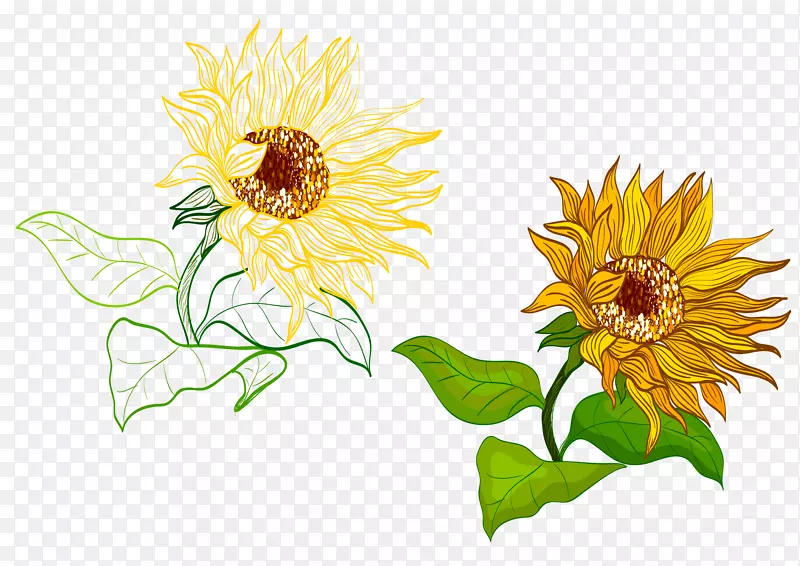 �ֻ����տ�-������