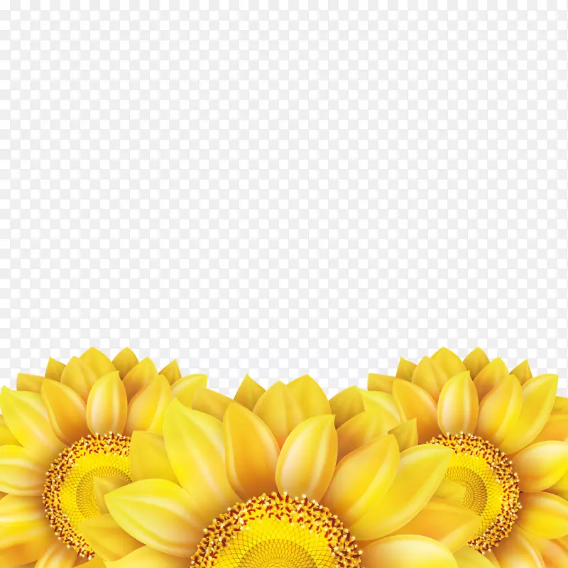 ���տ���-������