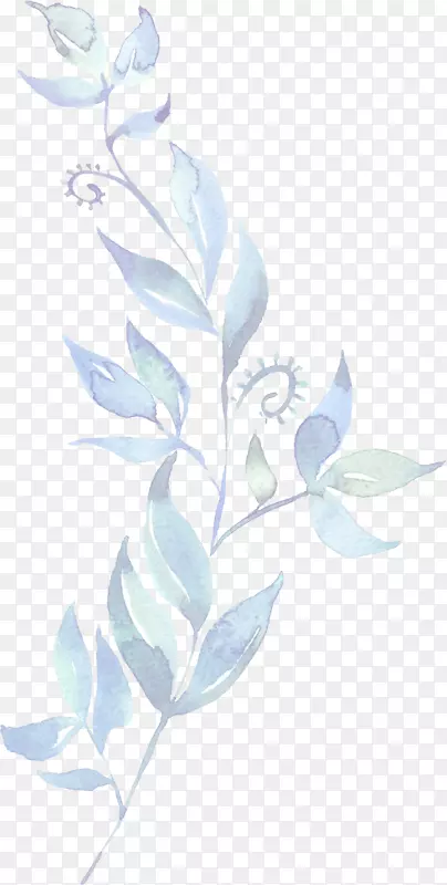 ˮ�ʻ�֮Ҷ��-������