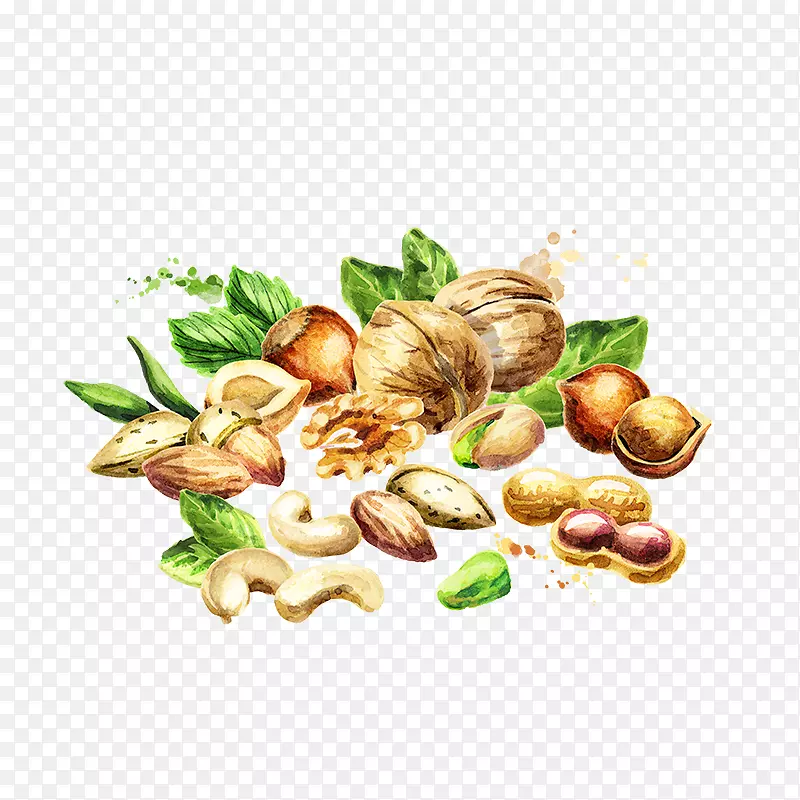 ��ͨ�ֻ����ͺ���-������