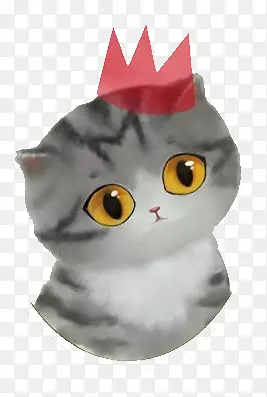 ��ͨ����ɰ���ͨ-������