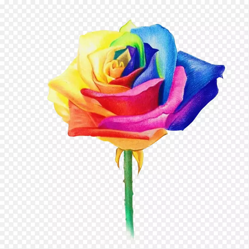 ˮ�ʻ���-������