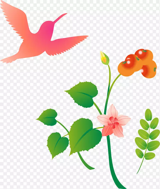 �ֻ����-������