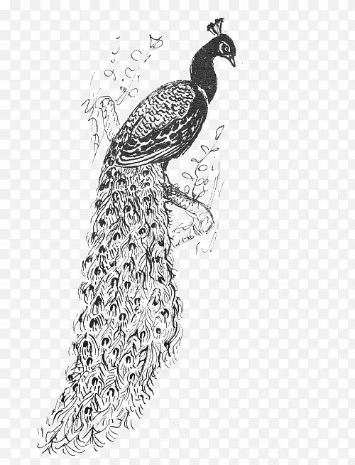 �ֻ�������ɫ��ȸ-������