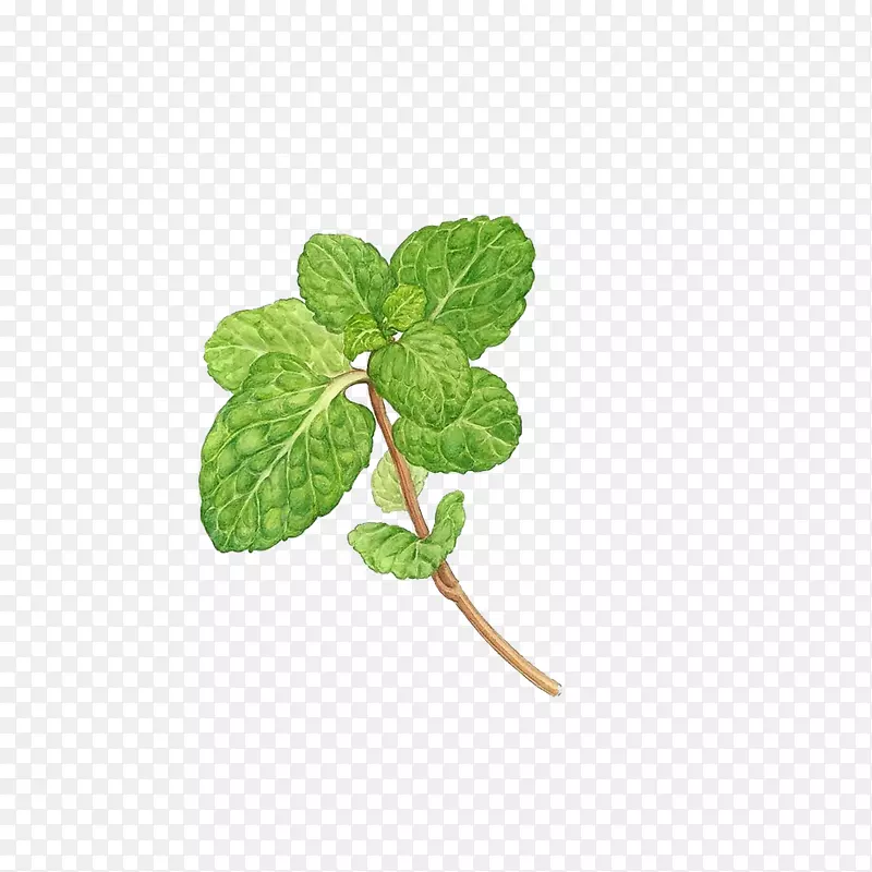 �ֻ污��-������