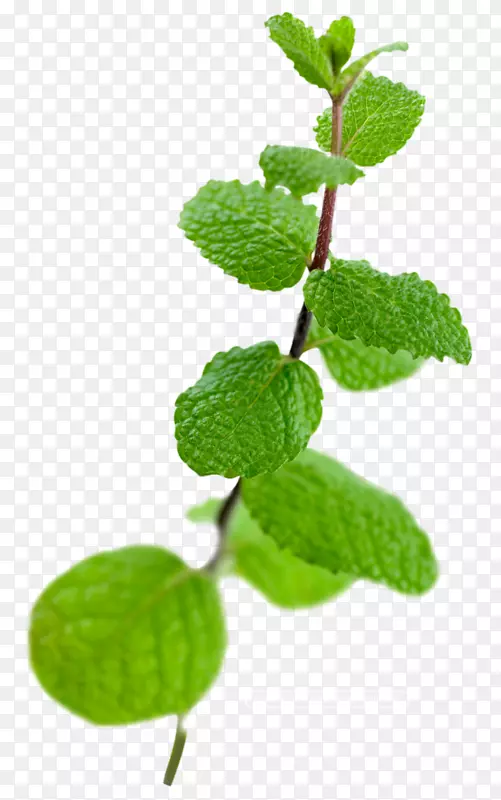 ʵ�������ɫ����-������