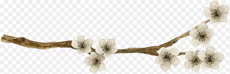 ��ɫ÷��-������