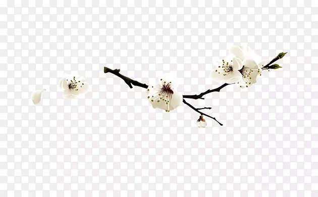 ÷��-������