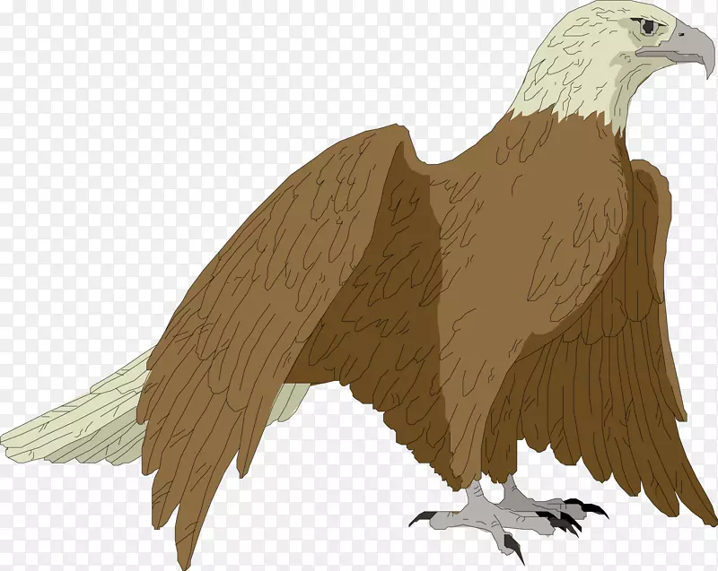 ��ͨ�ɰ�С����װ����ƶ���ͷ��-������