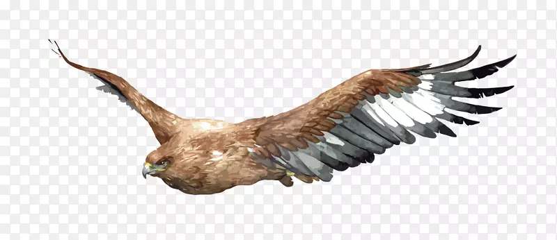 ʸ����ӥ-������