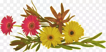 �������軨������ز�-������