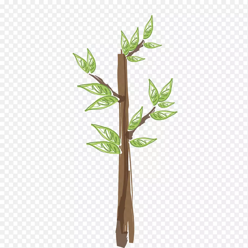 ��ɫ��ֲͨ���-������