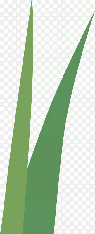 ����С�ݴ���С��-������