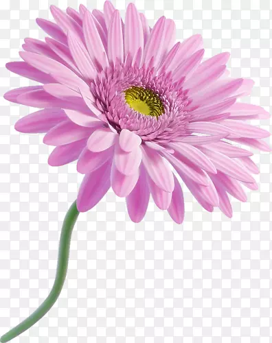 װ�λ���ʸ��ͼ�ز�-������