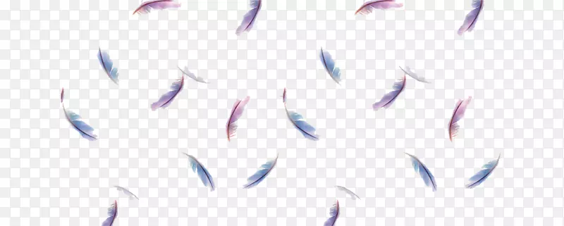 Ư�������ë-������