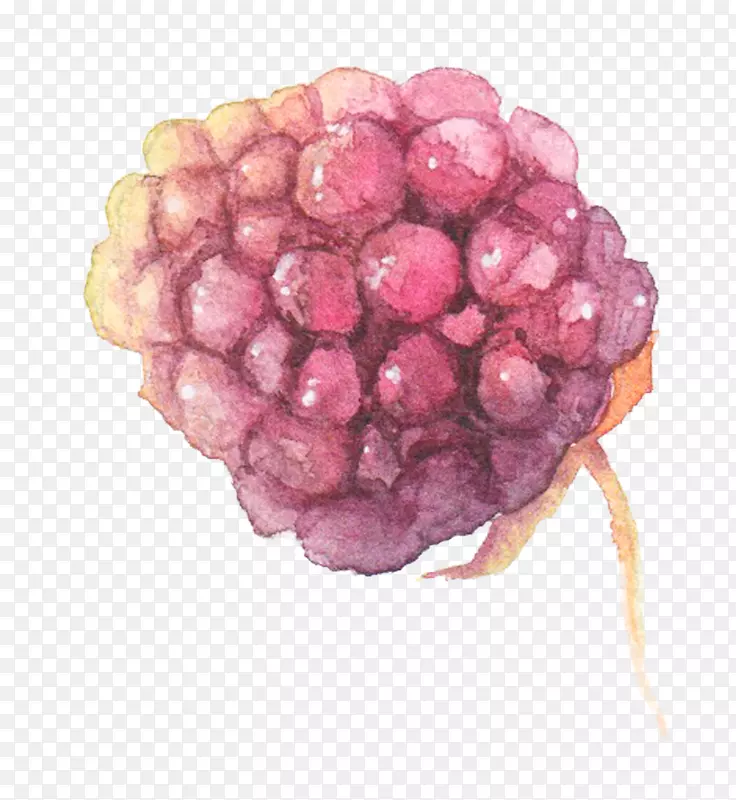 �ֻ�ˮ������-������