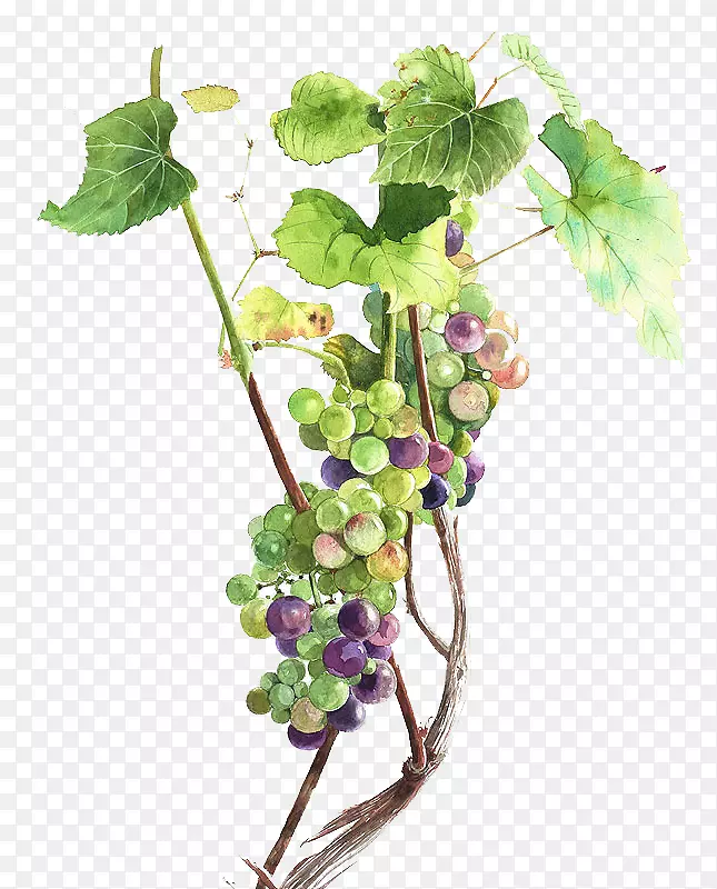 ˮ������-������