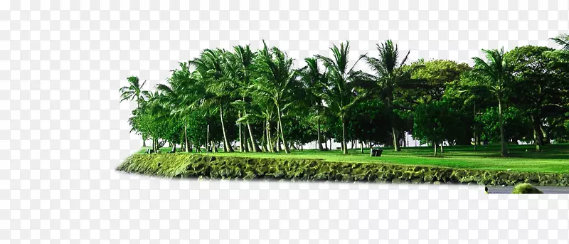 ����Ԫ��-������