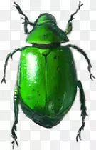 ��ͨ����ͨ����Ԫ��-������