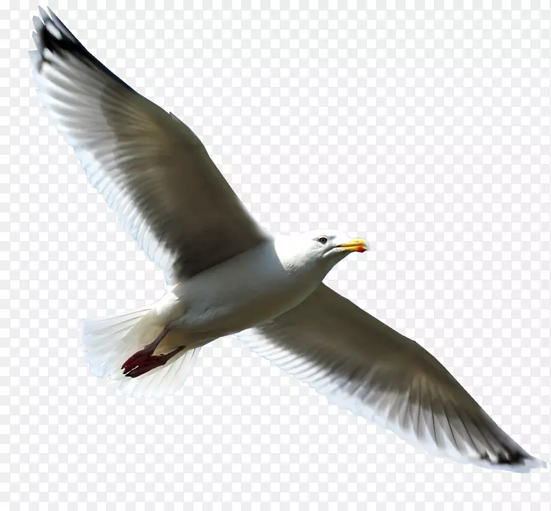 �����ز�-������