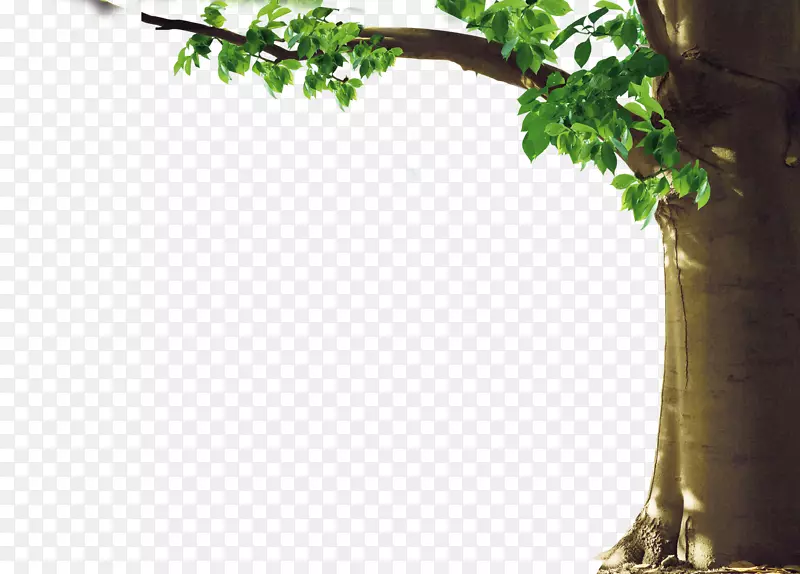 ��-������