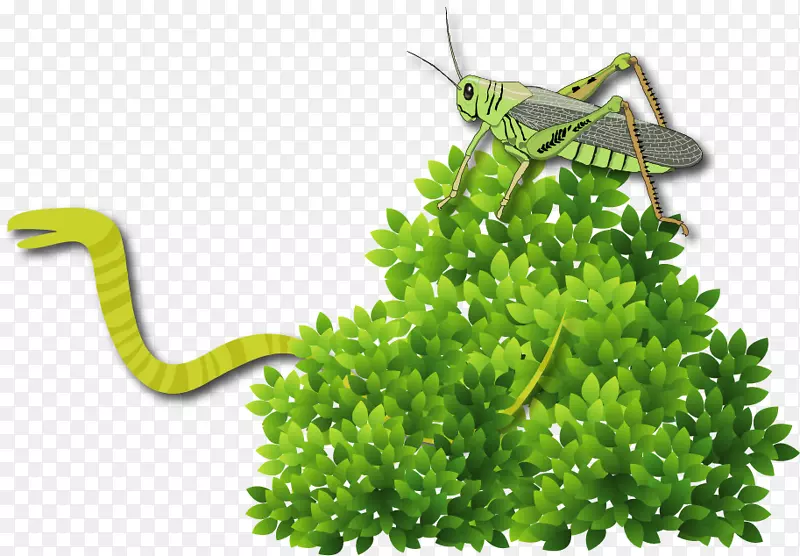 ʸ���ֻ�����-������