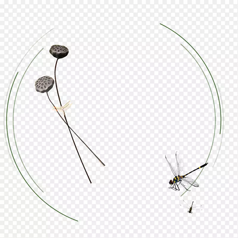 �����й��纣���߿����-������