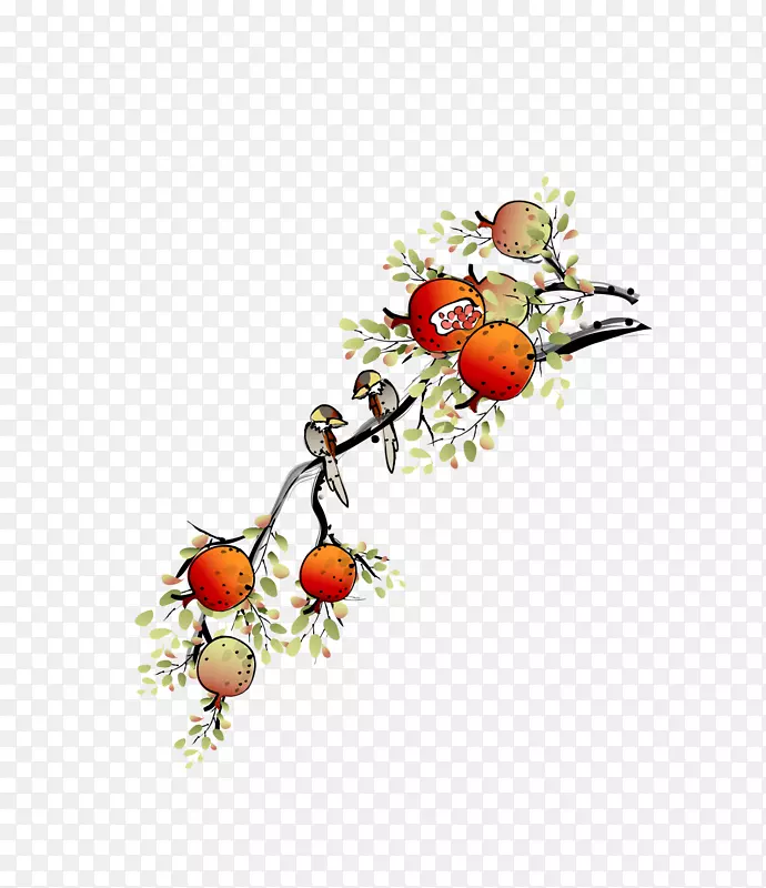 ���ʻ���������-������