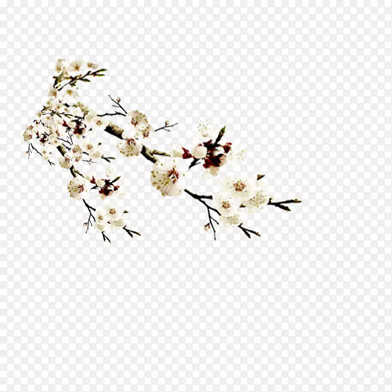 ��֦��ʢ�����滨-������