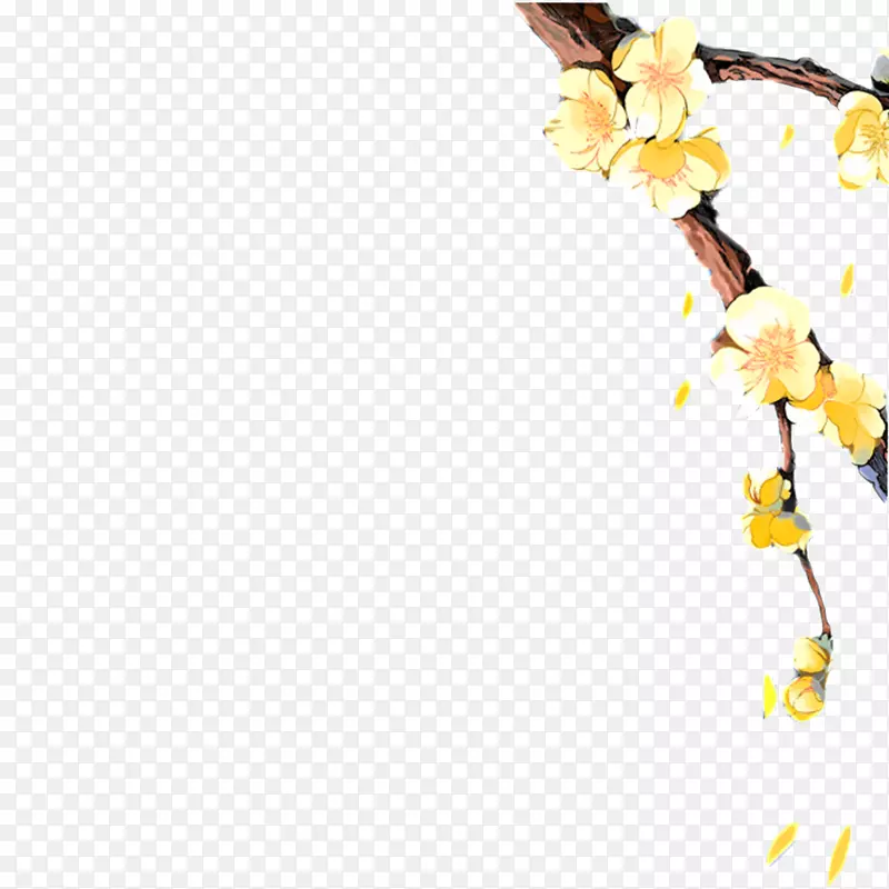 �滨�ز�-������