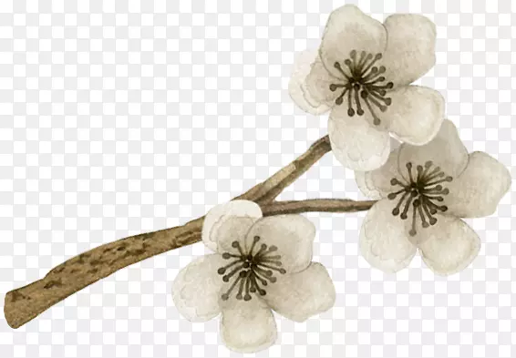 �ֻ滨��-������