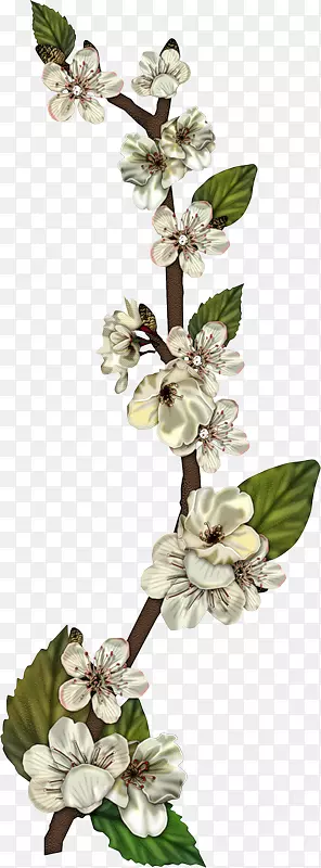 ֲ���滨-������