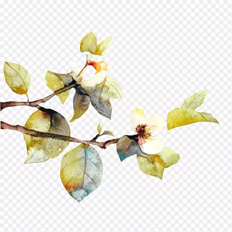 �滨��֦-������