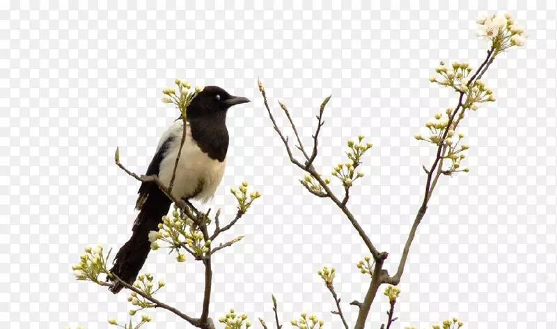 ���ϵ����-������