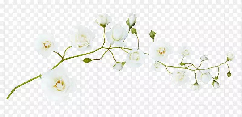 �滨������֦-������