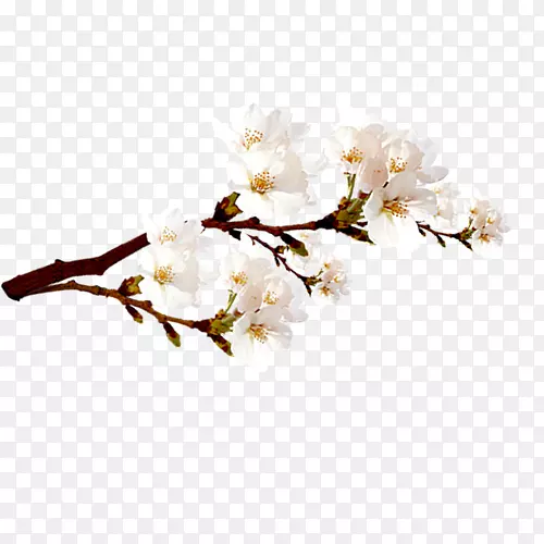 �滨-������